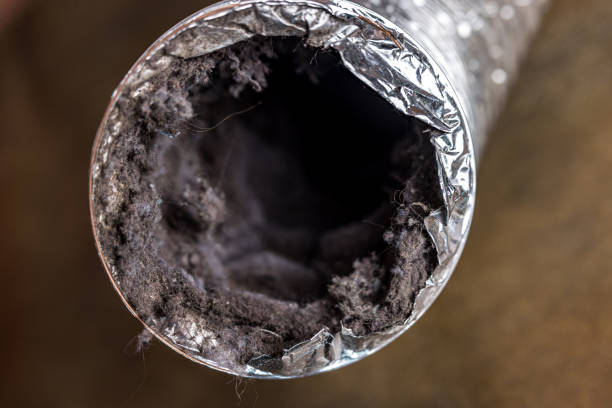 Best HVAC Duct Inspection Services  in Damascus, MD