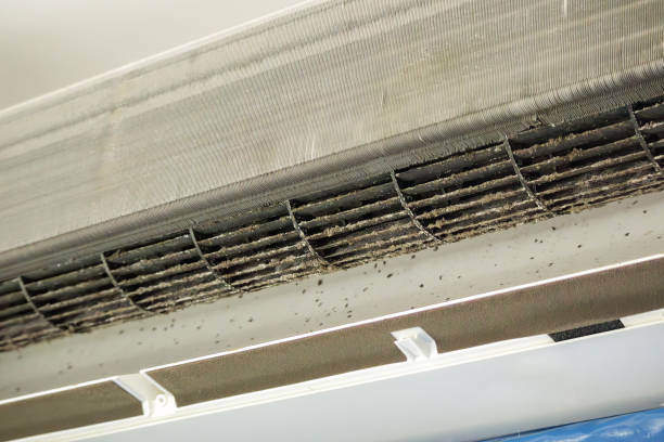 Best HVAC System Cleaning  in Damascus, MD